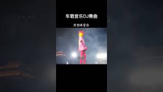 车载音乐DJ舞曲 (好想再爱你)