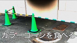 カラーコーンを食べる 【自作アニメーション】