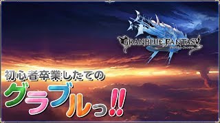 【グラブル】のんびりぐらぶる【最高画質:1440p60】