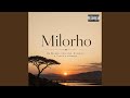 Milorho (feat. Mr Mlungu, Njhomani & Cooltime)