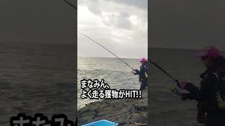 【釣りガール♥マナミン】八丈島でよく釣れる美味しい魚GET！ #大物 #fishing　＃釣りガール