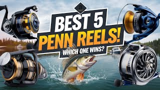 ✅Top 5: Best Penn Spinning ReelIn 2025 🎣 [ Best Spinning Reels on Amazon ]