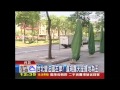 台北變法國左岸？　違規露天座據地為王