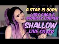 Lady Gaga, Bradley Cooper - Shallow (A Star Is Born - Live Cover)