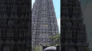 திருவண்ணாமலை அருணாச்சலேஸ்வரர் திருக்கோவில்