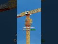 foryou shorts incredible building work tower tall intresting