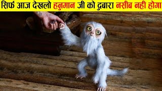 सिर्फ आज देखलो हनुमान जी को दोबारा नसीब नहीं होगा 14 animals that are the last of their kind,strange