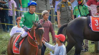 Duel Sengit Hingga Garis Finis RAJA TANPA NAMA VS BUKITTINGGI BRAVE Pacuan Kuda Payakumbuh 2020