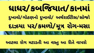 એલોવેરા નો આ રીતે ઉપયોગ કરો અને ગંભીર રોગ મટાડો । Gujarati Ajab Gajab