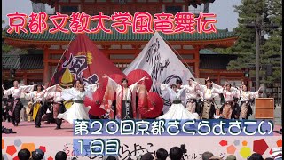 #京都文教大学風竜舞伝 #京都さくらよさこい２０２４ #第２０回京都さくらよさこい #１日目 #KYOTO_SAKURA_YOSAKOI_2024 #撮影取材許可取得済 #さくよさ #サクヨサ