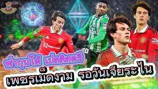 แฟนผีตัวยง : ฟากุนโด้ เปลลิสตรี เพชรเม็ดงามที่รอวันเจียระไน