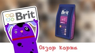 Обзор корма Brit Premium Adult S