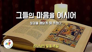 저녁 강론 [그들의 마음을 여시어 성경을 깨닫게 해 주셨다.] 2025년 1월 26일, 연중 제3주일, 하느님의 말씀 주일 (이병근 신부) 원당동 성당