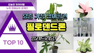 필로덴드론 추천 판매순위 Top10 || 가격 평점 후기 비교