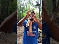 ind vs. nz मालवणी reaction