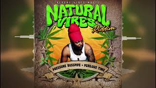 Pressure Busspipe - Perilous Time [Natural Vibes Riddim by Reggae Vibes Music]  2024 Release