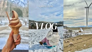 일상 브이로그 | 대관령 삼양 라운드힐 | 강릉 | 겨울 즐기기❄️🛷💨