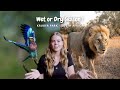 When is the Best Time to Go on Safari? (South Africa)