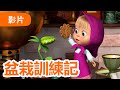 瑪莎與熊 - 🤩 NEW 2024 🤩 🪴 盆栽訓練記 🍫 🍬 (第99集)  | Masha and The Bear CH