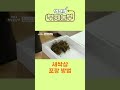 역전의부자농부 238회 새싹삼 포장 방법