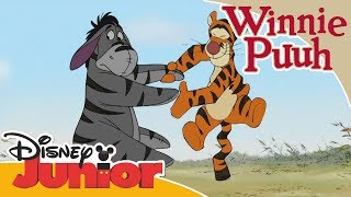 Kleine Abenteuer mit Winnie Puuh - Tigger und I-Aah | Disney Junior