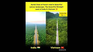 Beautiful Forest Road #Shorts #trending #Viral #mustaheed knowledge channel