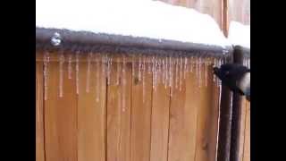 The Delicate Sound Of First Icicles