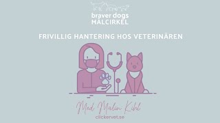 Frivillig Hantering hos veterinären med Malin Kihl