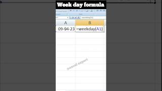 Weekday formula in Excel !#excel #exceltutorial #exceltips #exceltricks #exceltutorial #shortsfeed