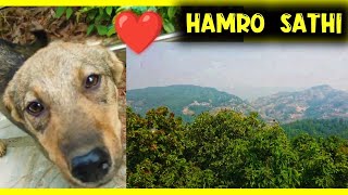 BUDOL VIEW TOWER VLOG, BANEPA 😄😄 || DINCHARYA || VLOG