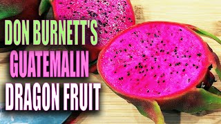 DON BURNETT'S GUATEMALIN DRAGON FRUIT REVIEW / FROM TAIWAN and was BOUGHT on EBAY