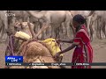 Eastern Africa facing food scarcity due to persistent drought