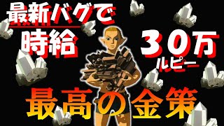 【Botw/バグ】ブレワイ史上No１、最高効率の金策誕生！！ブレスオブザワイルド