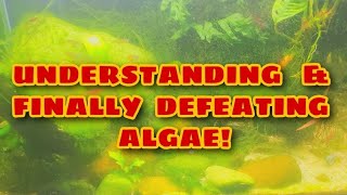 Can Low Aquarium Light Actually Cause MORE Algae to Grow? Secrets to Understanding & DEFEATING ALGAE
