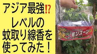 店頭では見かけない凄いと話題の蚊取り線香を使ってみた！（字幕対応）