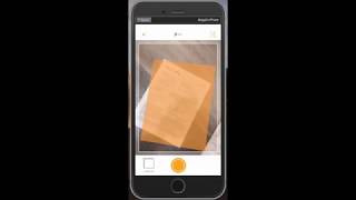 Getting Started with Vector: Upload your first Document