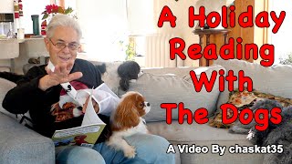 A Holiday Reading With The Dogs