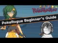 PokeRogue Beginner's Guide