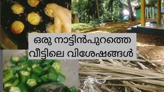 മഴക്കു ശേഷമുള്ള വെയിൽ കണ്ടപ്പോൾ ഞാൻ ചെയ്തത് 😨