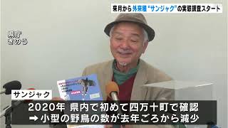 国の絶滅危惧種「ヤイロチョウ」もピンチ？肉食の傾向が強い外来種「サンジャク」本格的な実態調査へ（高知）