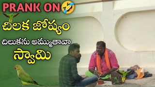 PRANK 😂 ON || Chilaka Joshyam || s sarigga cheppakunte egirestha ni chilakani || adiseshu sunkesula