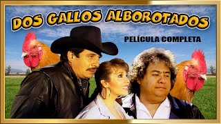 "DOS GALLOS ALBOROTADOS" Pelicula Ranchera Mexicana al estilo de Pedro Infante y Javier Solis