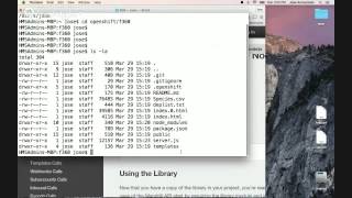 Installing Mandrill Email API for NodeJS
