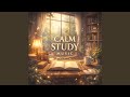 Puddle Reflection ( Calm Study Music )