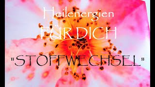 Stoffwechsel energetisch unterstützen - Heilenergien FÜR DICH