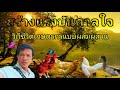 ไก่ไข่ไม่ไข่ เกิดจาก สาเหตุอะไร...