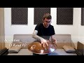 MrPans handpan - D Kurd 10 - Sebastien