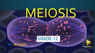 meiosis grade 12 life sciences [ MADE SUPER EASY ] Thundereduc M.SAIDI