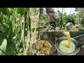 Ranju la khatam nahi paryo😭😭😭||Rural life in village vlog ||