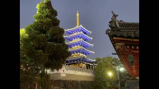 清荒神・中山寺・売布神社散策